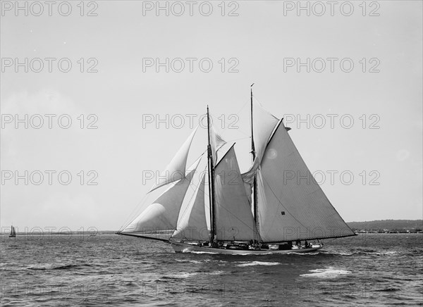 Iroquois, 1896 June 11. Creator: John S Johnston.