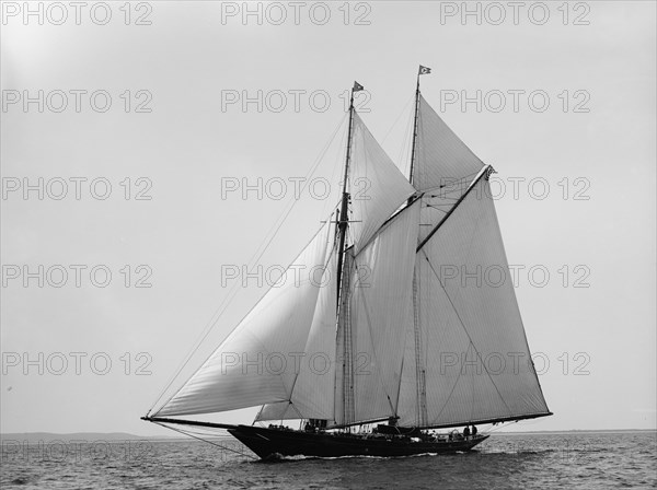 Lasca, 1895 Aug 20. Creator: John S Johnston.