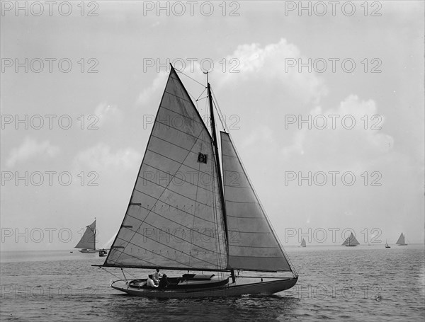 Lucile, 1898 July 30. Creator: John S Johnston.