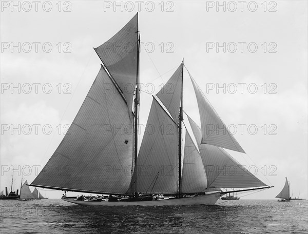 Marguerite, 1891. Creator: John S Johnston.