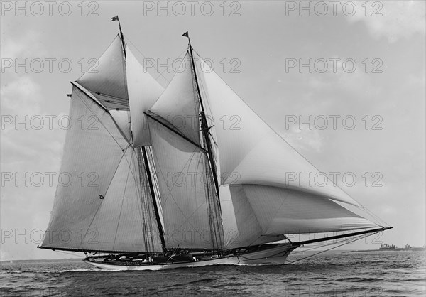 Merlin, 1891. Creator: John S Johnston.