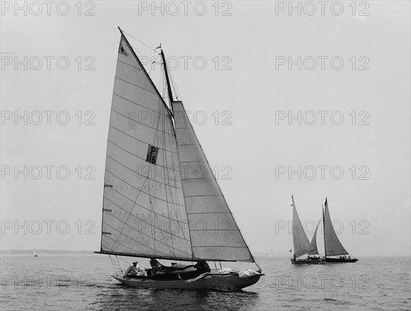 Midge, 1898 July 4. Creator: John S Johnston.