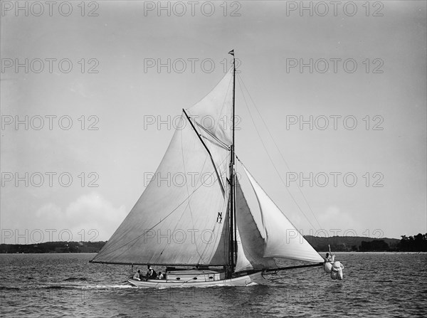 Minta, 1896 Aug 1. Creator: John S Johnston.