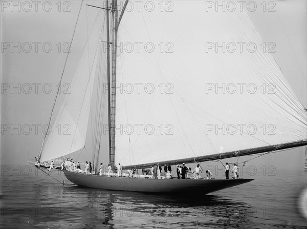 Shamrock, c1899. Creator: John S Johnston.