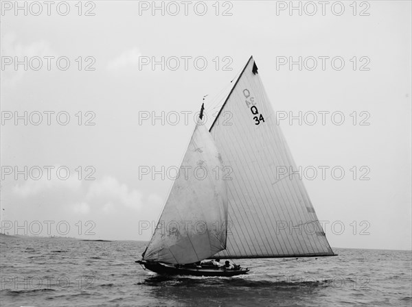 Shark, 1897 June 29. Creator: John S Johnston.