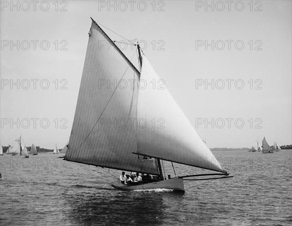 Sirene, 1891 July 11. Creator: John S Johnston.