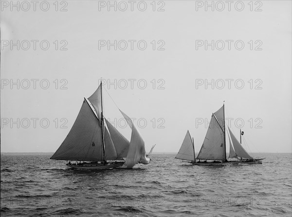 Tigress and Albicore, between 1890 and 1900. Creator: John S Johnston.