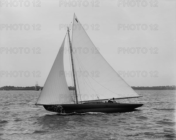 Vaquero III, 1896 June 16. Creator: John S Johnston.