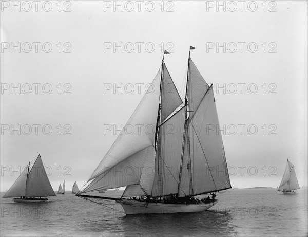 Viator, 1896 July 22. Creator: John S Johnston.