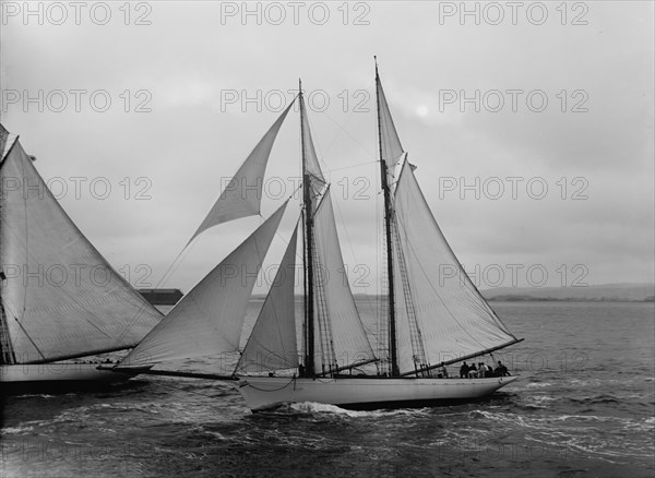 Viator, 1891. Creator: John S Johnston.