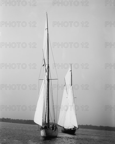 Wasp and Queen Mab, 1894 Sept 22. Creator: John S Johnston.