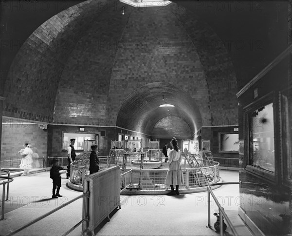 Aquarium, Belle Isle Park, interior, Detroit, Mich., between 1900 and 1910. Creator: Unknown.