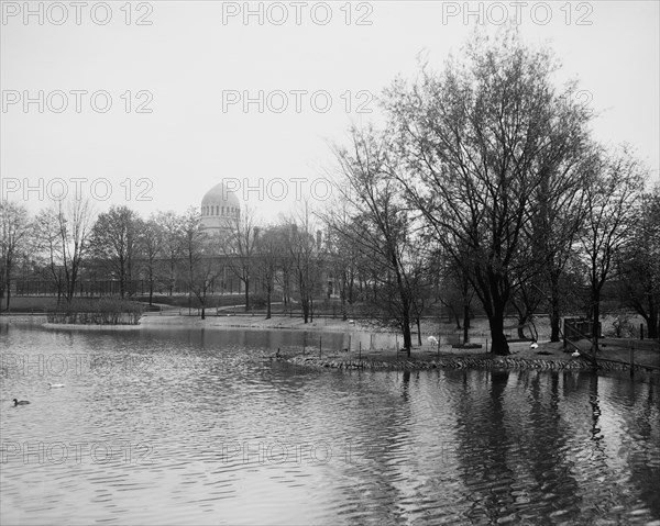 The Lake, zoo, Cincinnati, Ohio, between 1900 and 1910. Creator: Unknown.