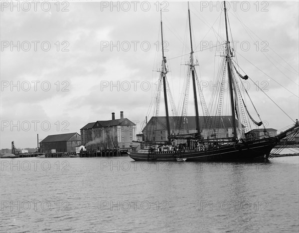 West Point Rice Mills, Charleston, S.C., c1907. Creator: Unknown.