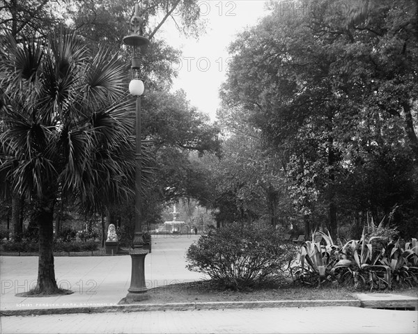 Forsyth Park, Savannah, Ga., between 1900 and 1910. Creator: Unknown.