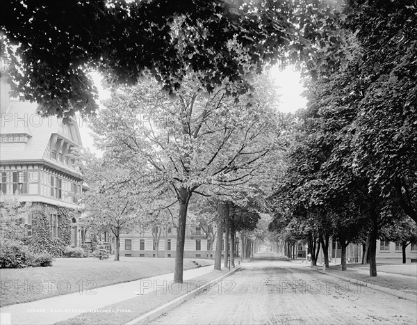 Elm Street, Holyokke [sic], Mass., c1908. Creator: Unknown.