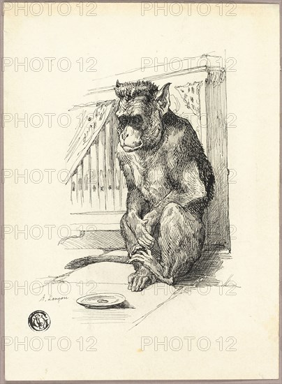 Begging Monkey, n.d. Creator: Auguste-Andre Lancon.