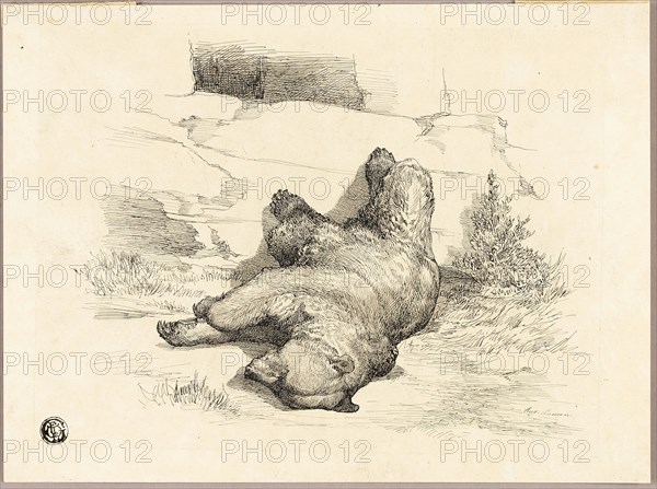 Russian Bear, n.d. Creator: Auguste-Andre Lancon.