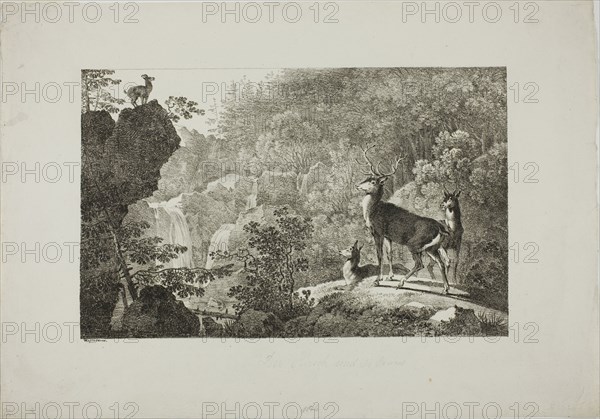 The Stag and the Chamois, n.d. Creator: Max Josef Wagenbauer.