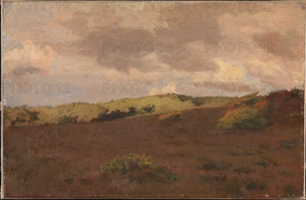 Heathland, autumn, 1902. Creator: Christian Mourier-Petersen.