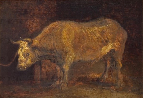 An Ox Standing, 1644. Creators: Rembrandt Harmensz van Rijn, School of Rembrandt van Rijn.