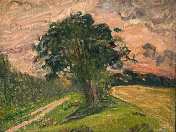 Evening landscape, Tisvilde, 1905. Creator: Albert Gottschalk.