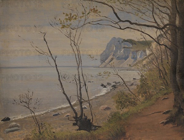 The Cliffs of the Island of Mon, 1850. Creator: Peter Christian Thamsen Skovgaard.