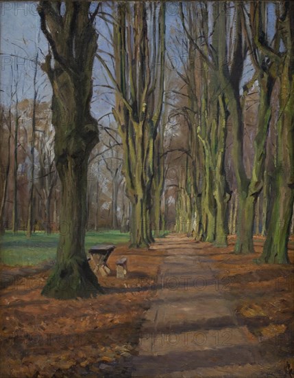 An Avenue in Sondermarken. Frederiksberg, 1889. Creator: Albert Gottschalk.