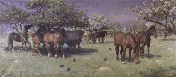 Horses in the deer park, 1896. Creator: Hans Michael Therkildsen.