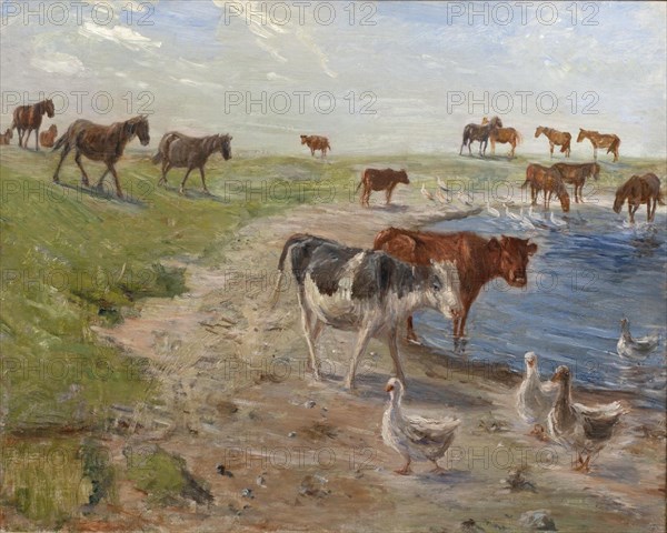 Calves and Geese at a Wateringhole on the Island of Saltholm, 1911. Creator: Theodor Esbern Philipsen.