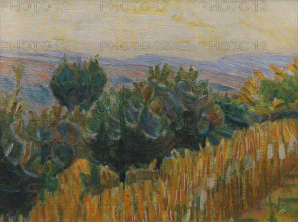 The Vine against the Light. A wheat field in the foreground. Villa Linda, Florence, 1923. Creator: Niels Larsen Stevns.