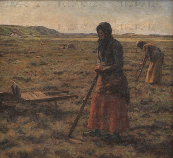 Women harvesting heather, 1906. Creator: Jens Vige.