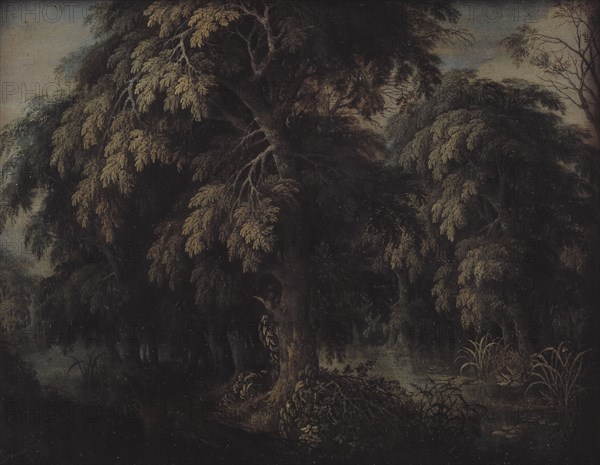 Wooded Landscape, 1615-1620. Creator: Alexander Keirincx.