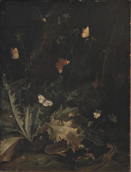 A Forest Floor with a Thistle, a Snake, a Lizard and Butterflies;Still Life, 1635-1678. Creator: Otto Marseus van Schrieck.