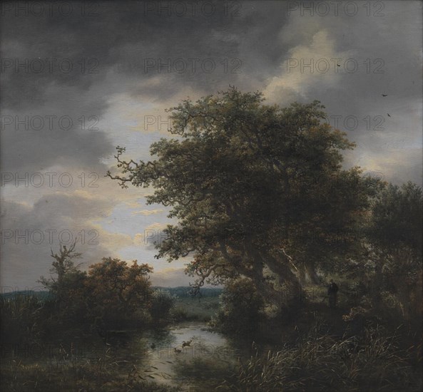 Oak Trees by a Pond, 1643-1682. Creator: Jacob van Ruisdael.