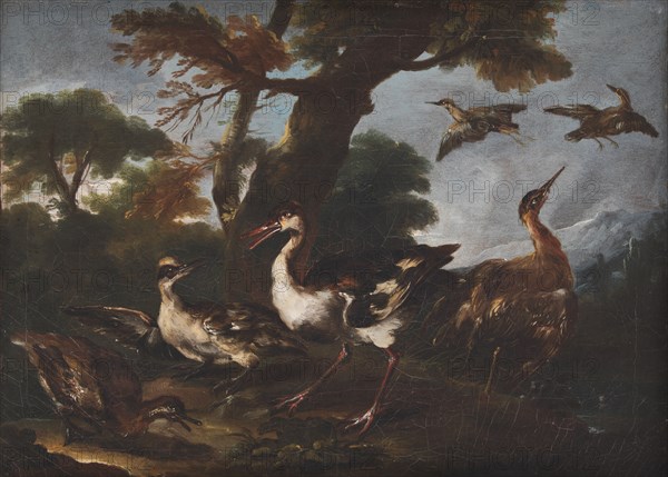 Landscape with Birds, 1665-1730. Creator: Angelo Maria Crivelli.