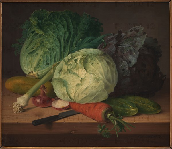 Cook's Herbs, 1823. Creator: Johannes Ludvig Camradt.