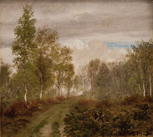 Birch trees at Læso after rain, 1849. Creator: Peter Christian Thamsen Skovgaard.