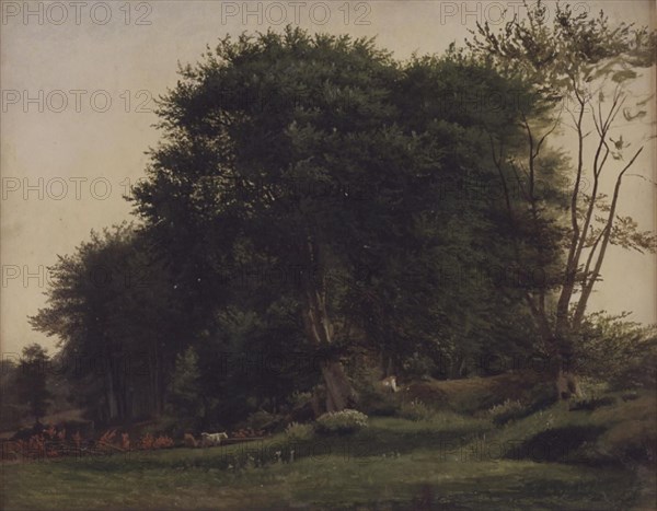 Forest clearing with cattle, 1855-1913. Creator: Wilhelm Xylander.