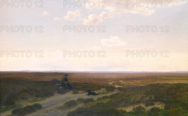View of Pårup Moors near Silkeborg, Jutland, 1868. Creator: Hans Gabriel Friis.