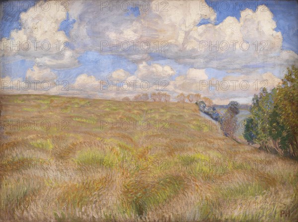 A Field of Waving Rye, 1894. Creator: Peter Hansen.
