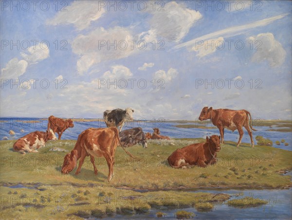 Calves by the coast, 1896. Creator: Theodor Esbern Philipsen.