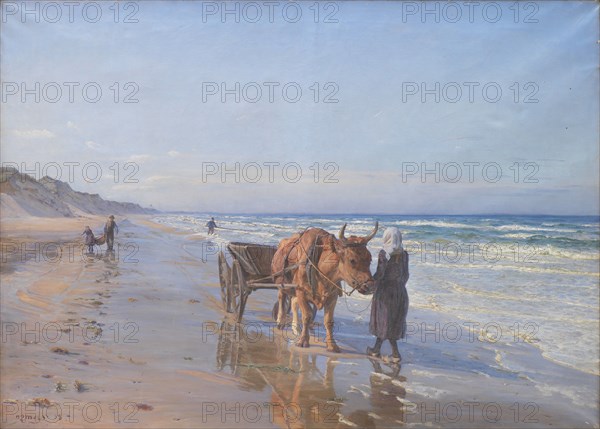 Coast dwellers, 1898. Creator: Niels Pedersen Mols.