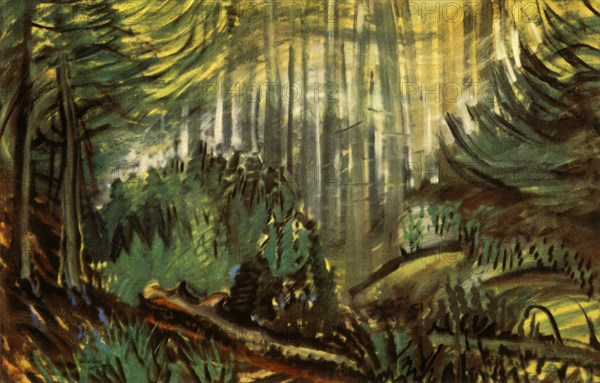 'A British Columbian Forest', 1941. Creator: Emily Carr.