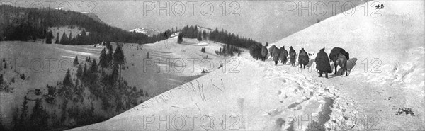 'La tragique retraite Serbe; La traversee des montagnes d'Albanie: le passage de..., 1915 (1924). Creator: Unknown.