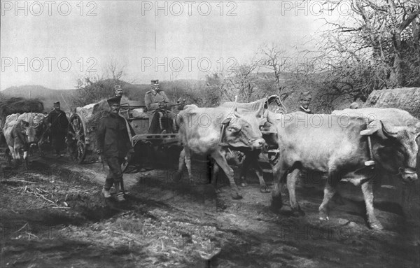 'Le Calvaire du Vieux Roi; Pierre 1cr Karageorgevitch quitte le territoire Serbesu..., 1915 (1924). Creator: Vladimir Betzitch.