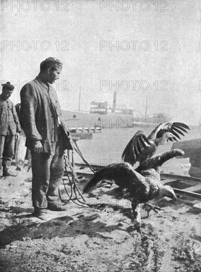 'L'expedition des Dardanelles, Heures D'Accalmie..., 1915 (1924). Creator: Unknown.