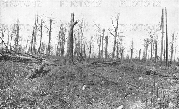 ''A Travers la Fournaise; En patrouille dans un bois mutile de la region de Vaux', 1916 (1924) Creator: Unknown.