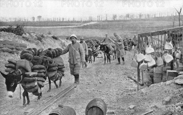 'A L'arriere de Verdun; D'utiles auxiliaires a quatre pattes: les petits anes..., 1916 (1924) Creator: Unknown.