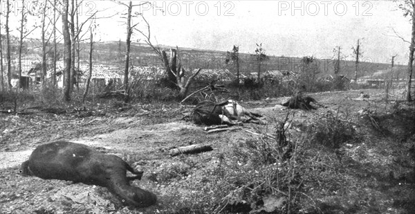 ''Paysages d'ete a Verdun; La route de Tavannes a Vaux, au mois de juillet 1916', 1916 (1924) Creator: Unknown.